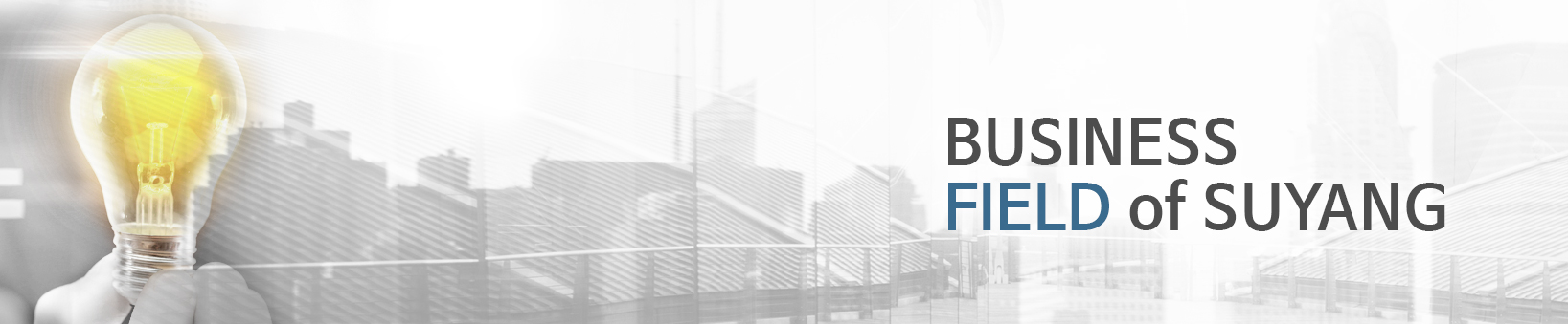 사업분야